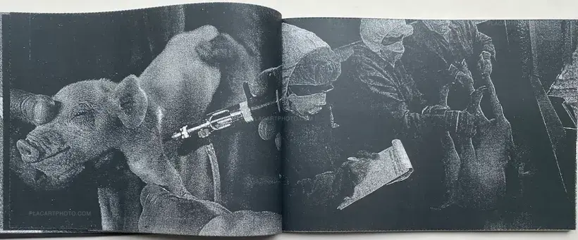 Matt Plezier – Sex & Violence (SIGNED, edt of 25)