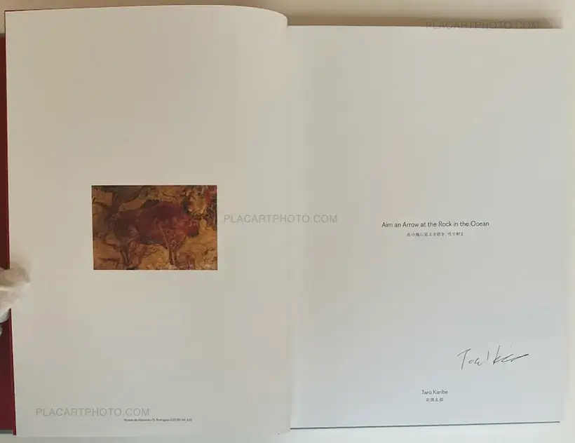 Taro Karibe – Aim an Arrow at the Rock in the Ocean (SIGNED)