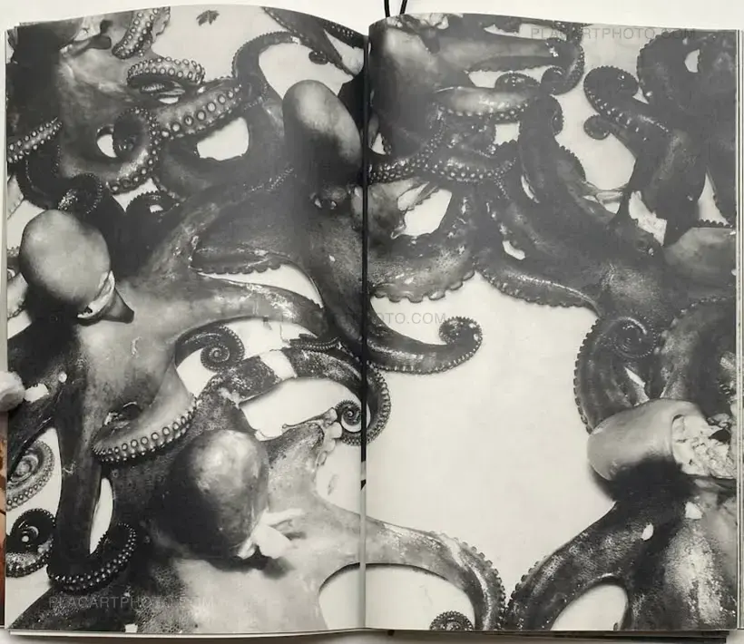 Callum Royle – You are now entering the human heart (QUADERNO PALERMO I)