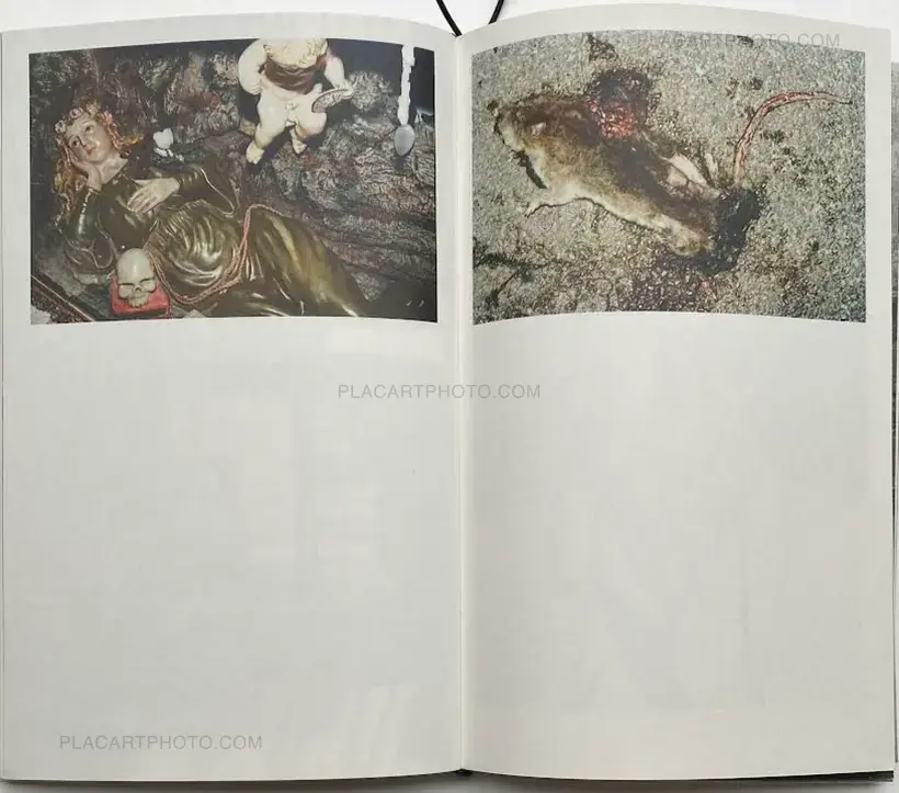 Callum Royle – You are now entering the human heart (QUADERNO PALERMO I)