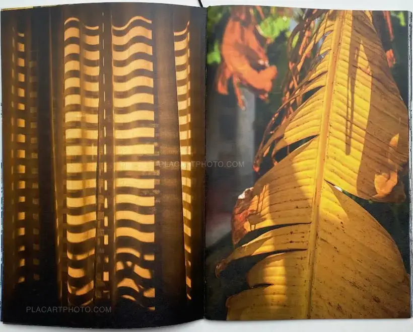 Werner Mansholt – PALERMO DIARY (SIGNED)