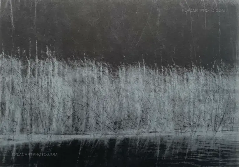 Alyssa Warren – The Lake (Edt of 35)