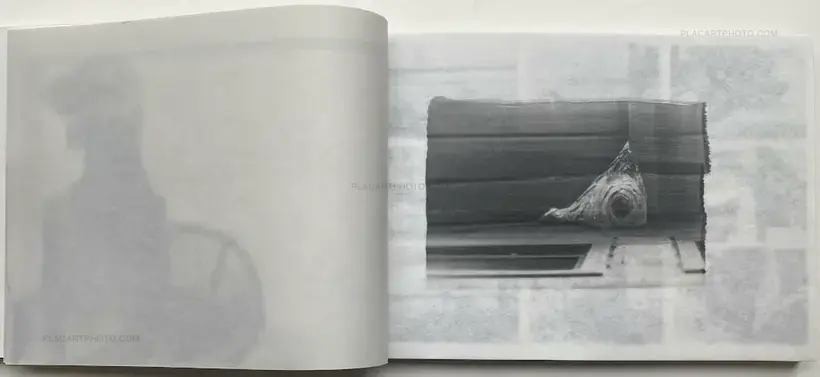 Alyssa Warren – The Lake (Edt of 35)