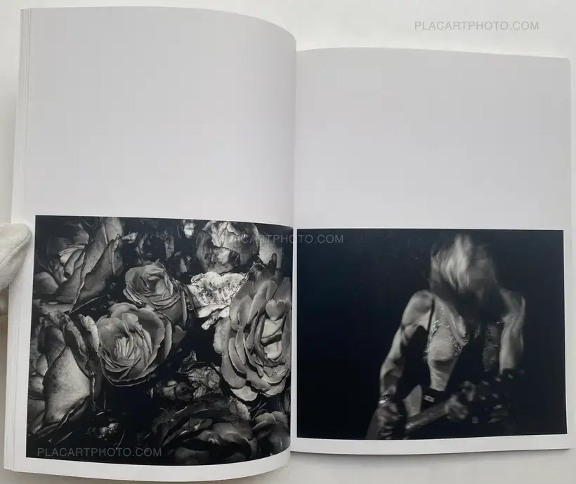 Hedi Slimane – Rock Diary