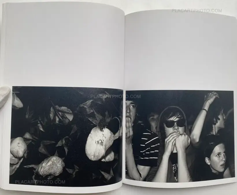 Hedi Slimane – Rock Diary