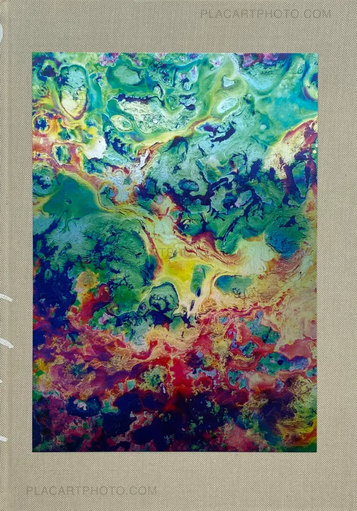 Maya Rochat, Poetry of The Earth , art & fiction, 2023 | Le Plac'Art Photo