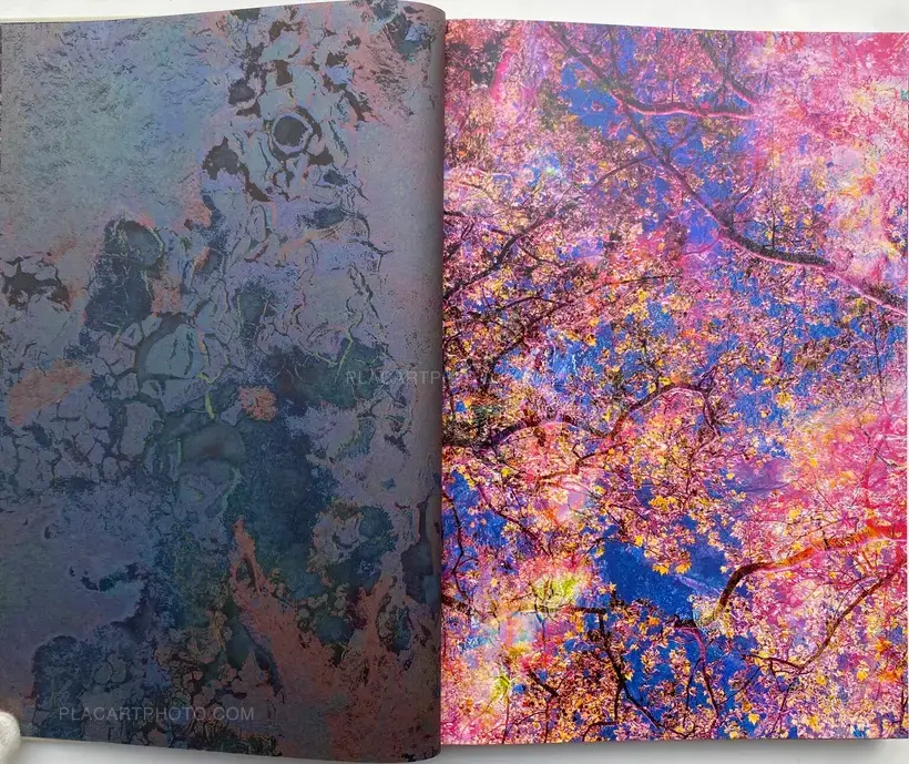 Maya Rochat – Poetry of The Earth