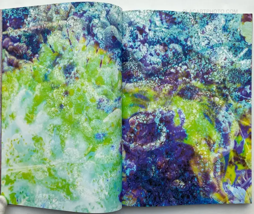 Maya Rochat – Poetry of The Earth