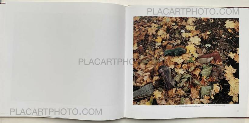 Joel Sternfeld: HART ISLAND , Scalo Verlag , 1998 | Bookshop Le 