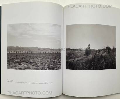 Stephen Shore,Witness Number One Stephen Shore,Witness Number One