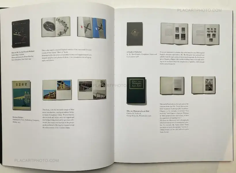 Stephen Shore – Witness Number One