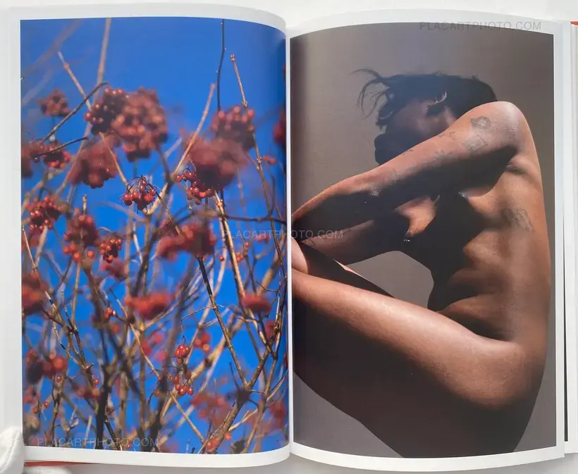 Mathilda Olmi – Rosa Canina