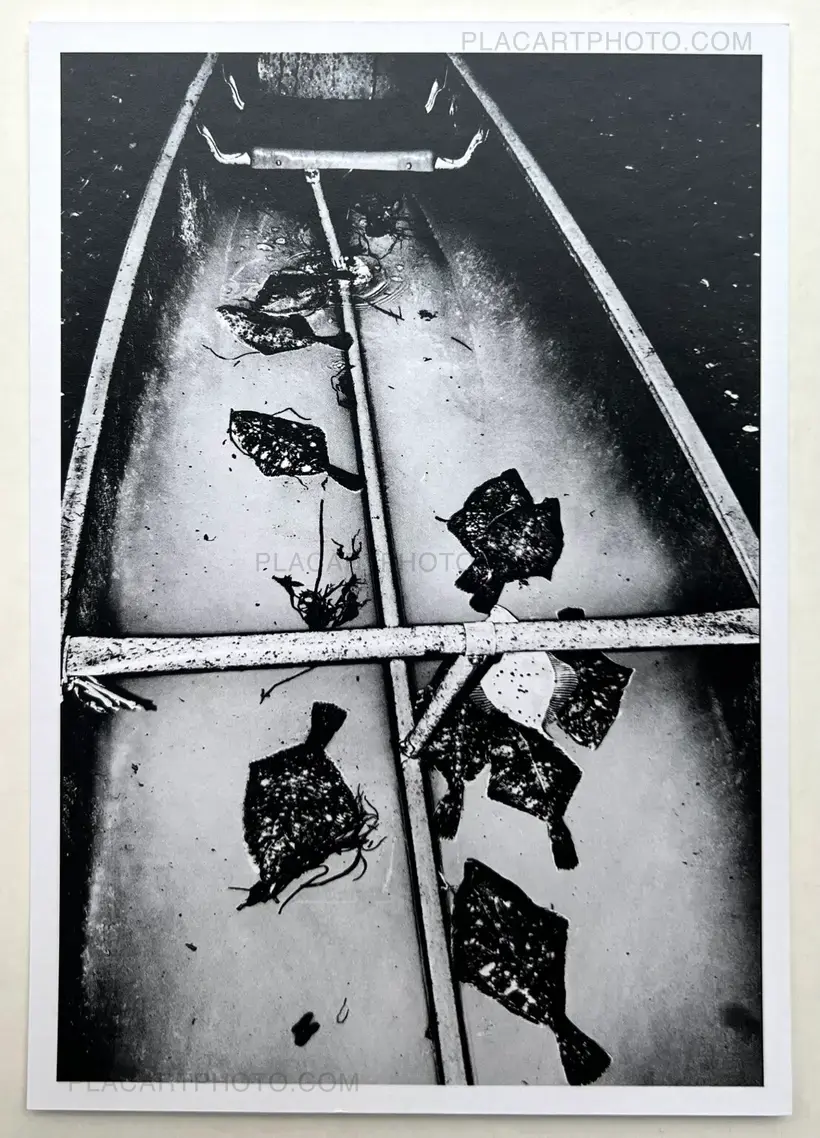 Collective – Cœur en chasse (Signed)