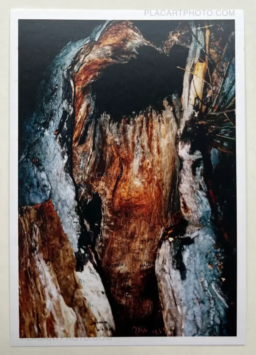 Collective – Cœur en chasse (Signed)