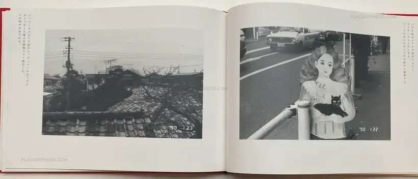 Nobuyoshi Araki – Sentimental na Tabi: Fuyu no Tabi
