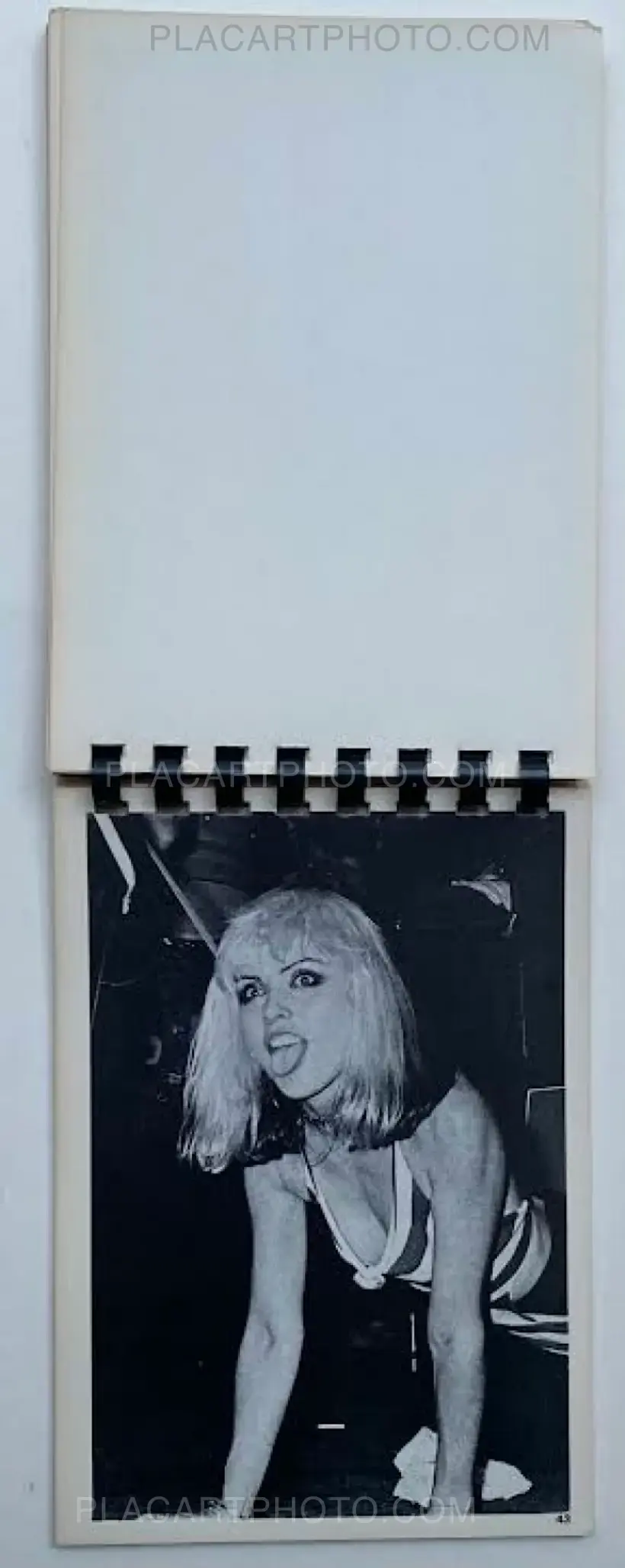 Donna Santisi – ASK THE ANGELS