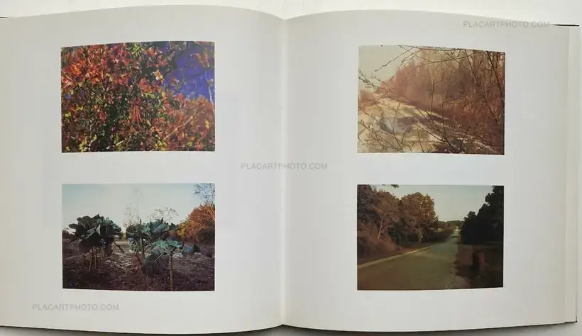William Eggleston – WILLIAM EGGLESTON THE HASSELBLAD AWARD 1998