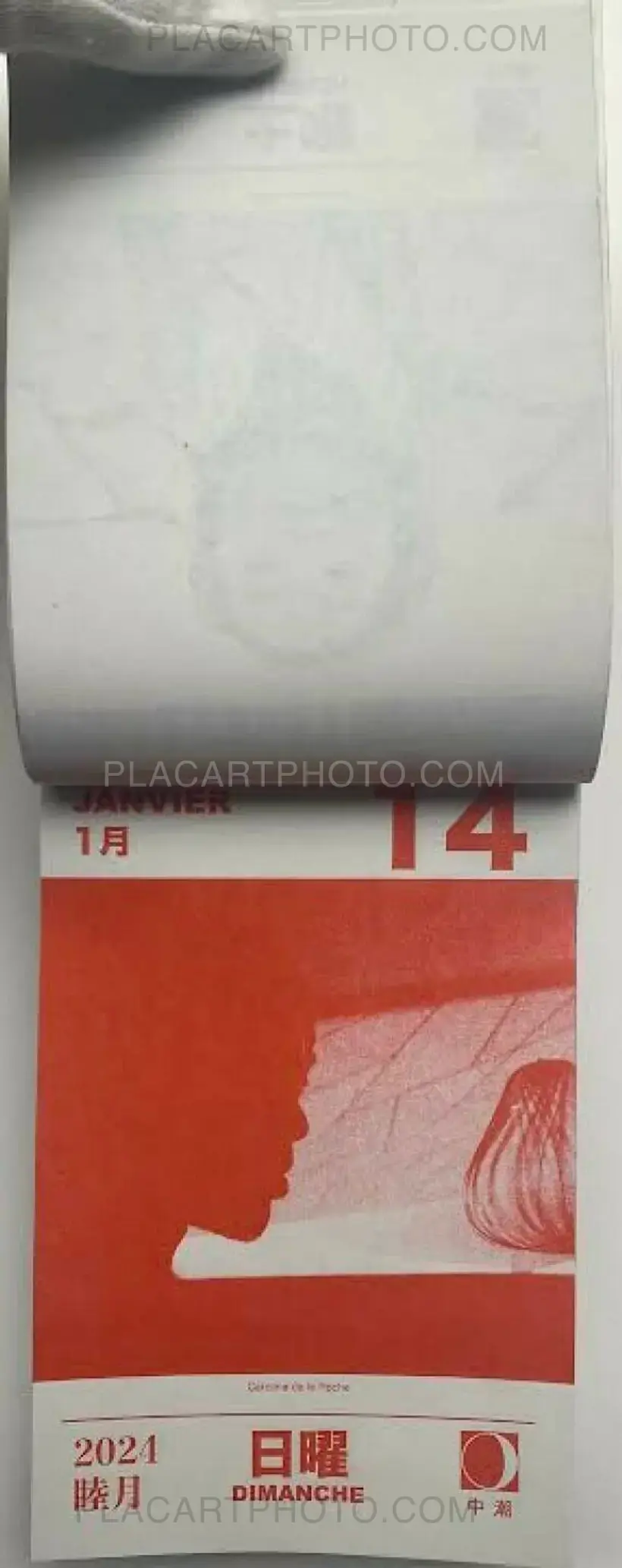 Collective – HIKARI 2024 (Edt of 50)