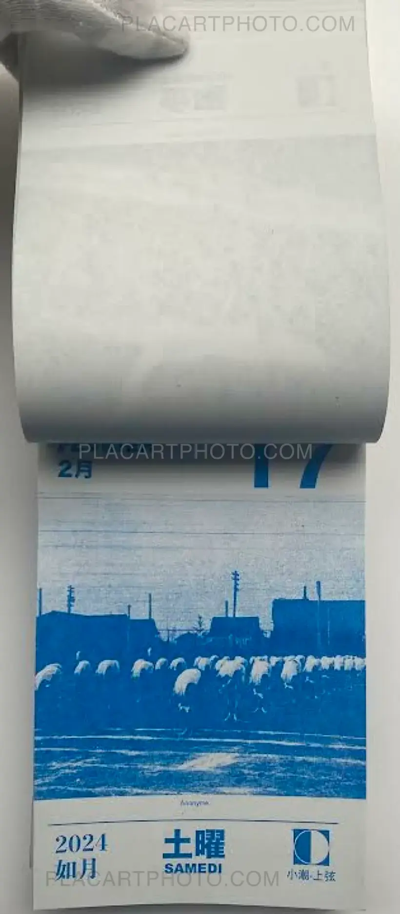 Collective – HIKARI 2024 (Edt of 50)