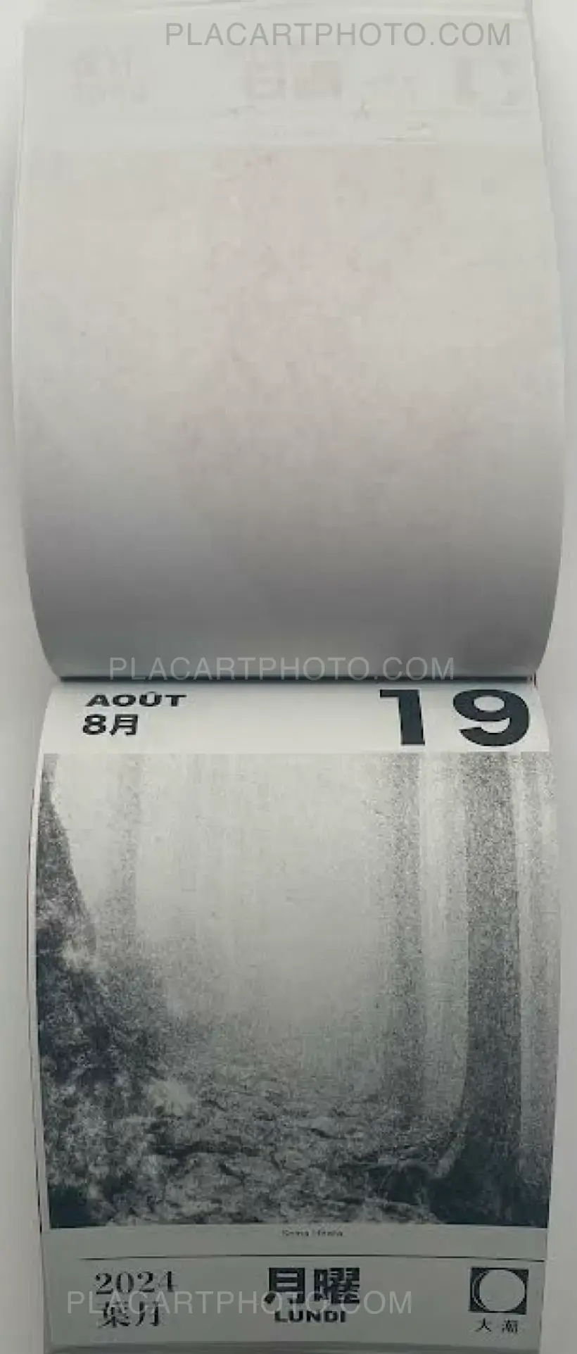 Collective – HIKARI 2024 (Edt of 50)
