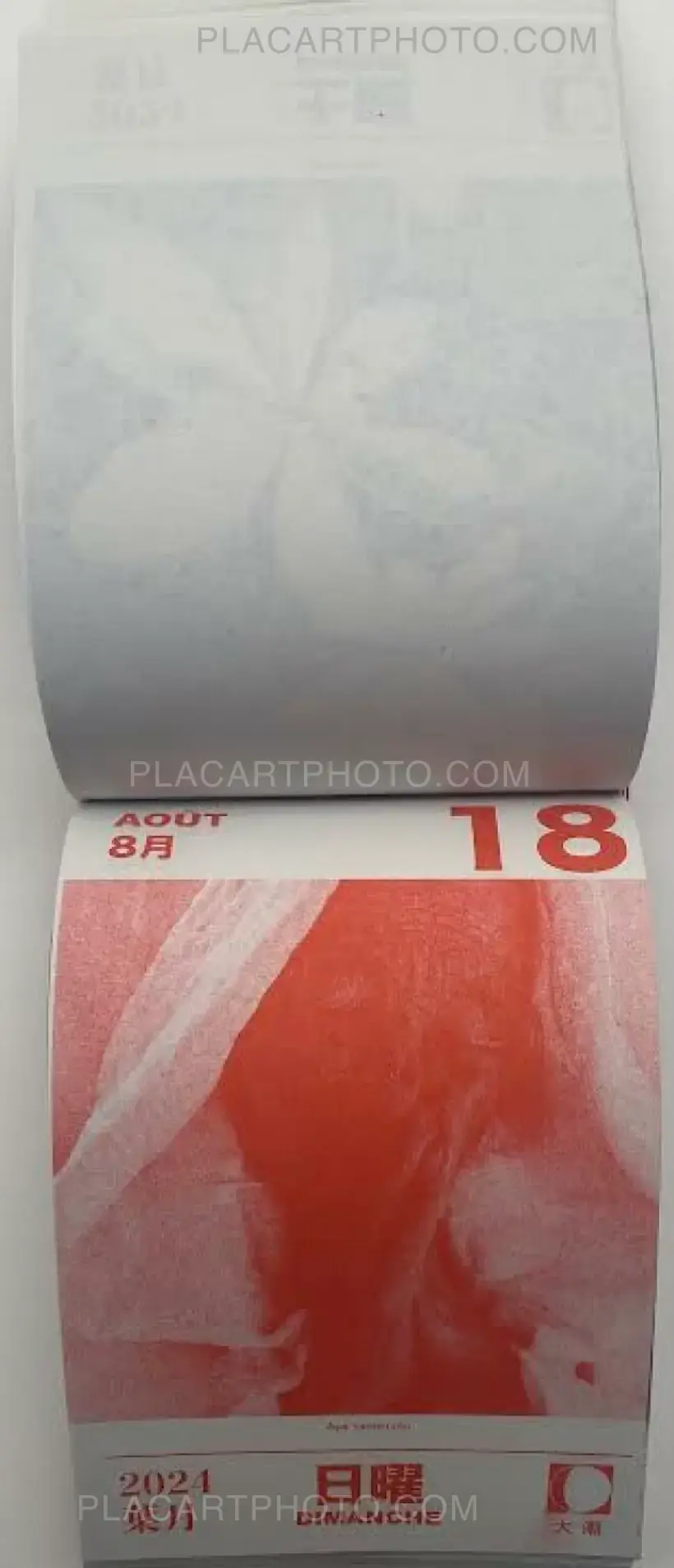 Collective – HIKARI 2024 (Edt of 50)