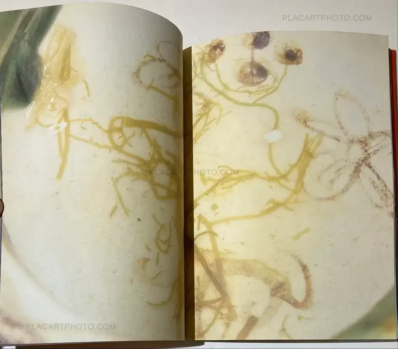 Nobuyoshi Araki – The Banquet (With obi)