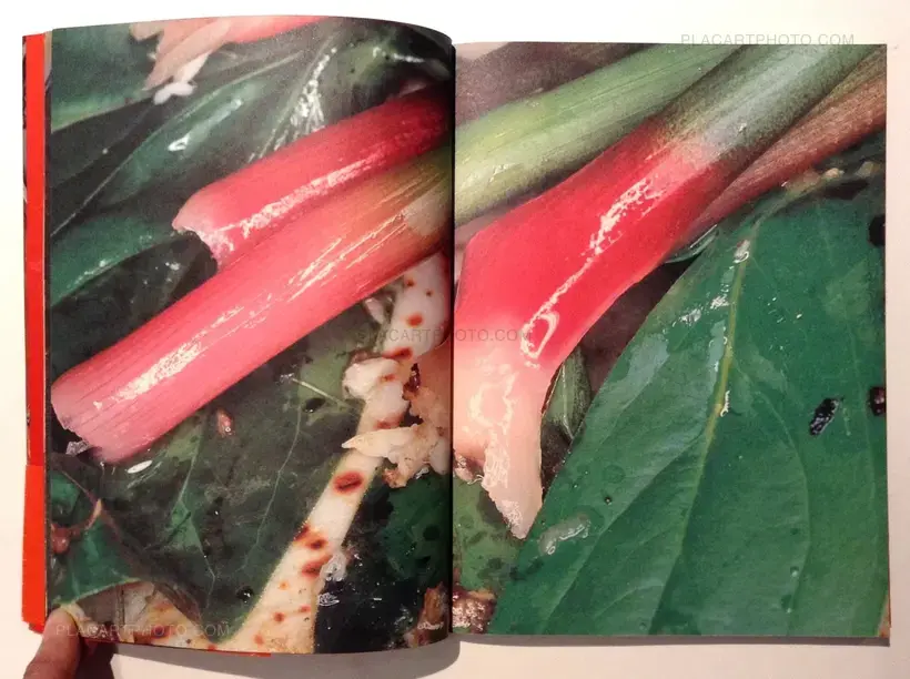 Nobuyoshi Araki – The Banquet (With obi)