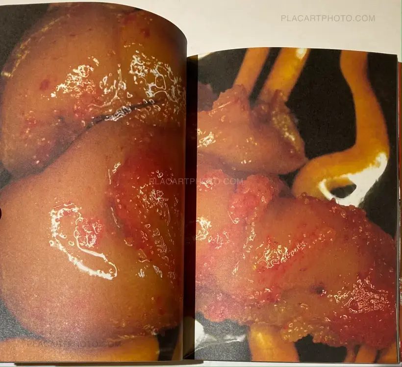 Nobuyoshi Araki – The Banquet (With obi)
