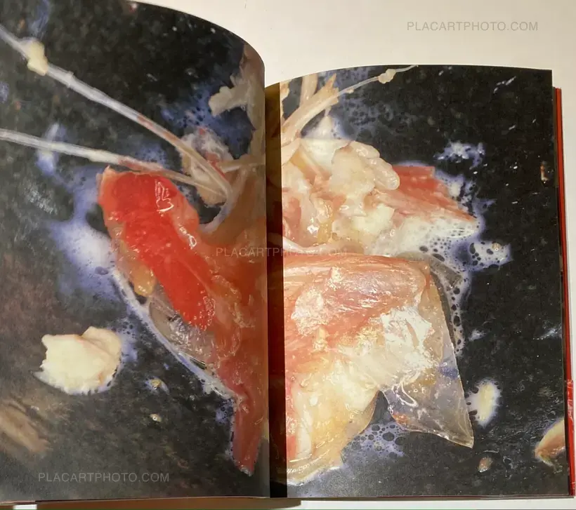 Nobuyoshi Araki – The Banquet (With obi)