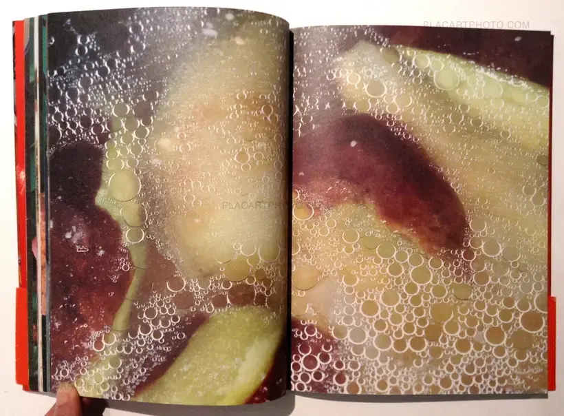 Nobuyoshi Araki – The Banquet (With obi)