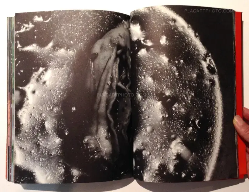 Nobuyoshi Araki – The Banquet (With obi)