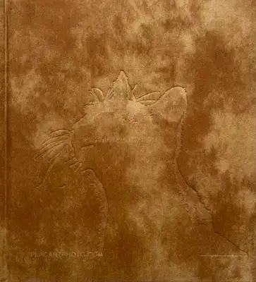 Masahisa Fukase – Afterword (Second edition)
