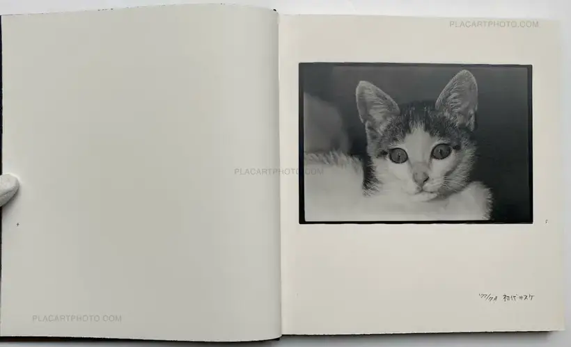 Masahisa Fukase – Afterword (Second edition)