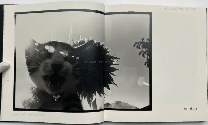 Masahisa Fukase – Afterword (Second edition)