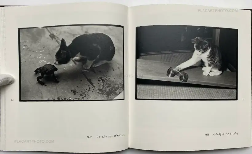 Masahisa Fukase – Afterword (Second edition)