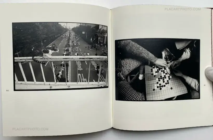Masahisa Fukase – Afterword (Second edition)