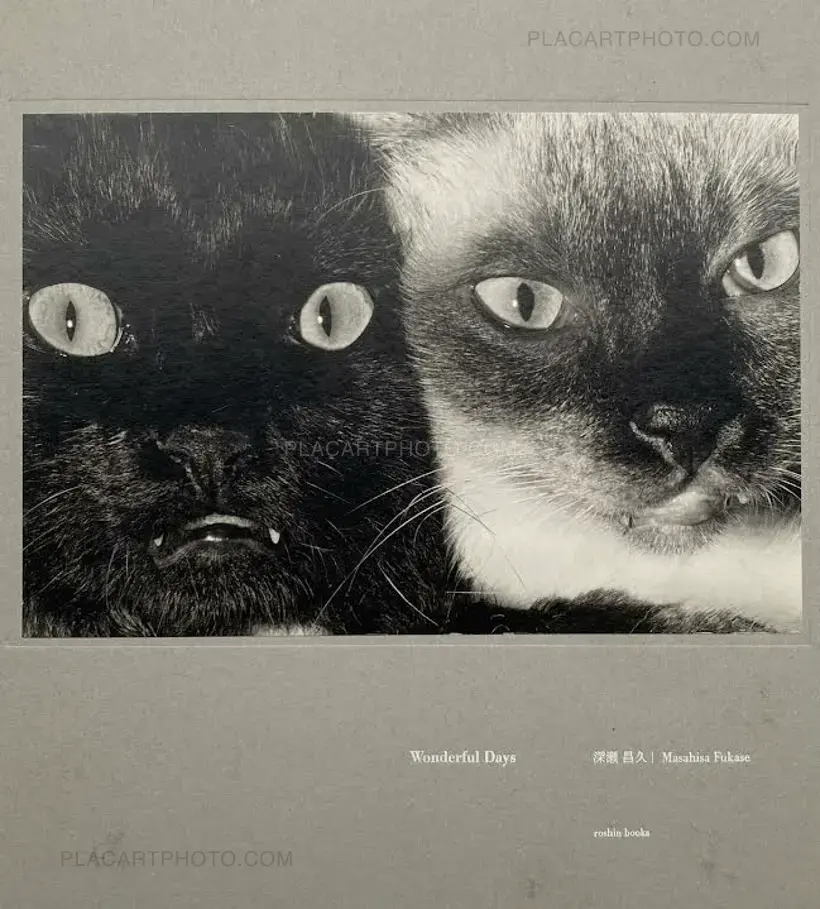 Masahisa Fukase – Wonderful Days