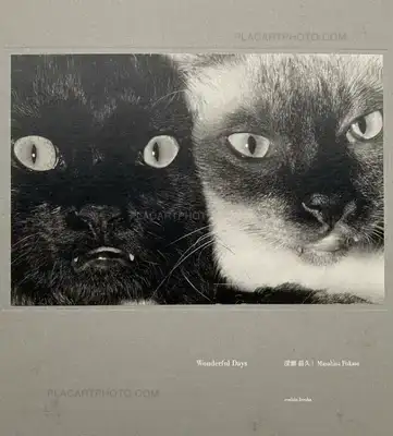 Masahisa Fukase – Wonderful Days