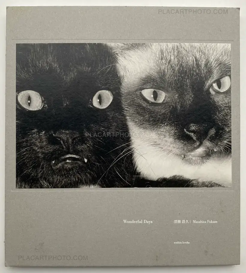 Masahisa Fukase – Wonderful Days