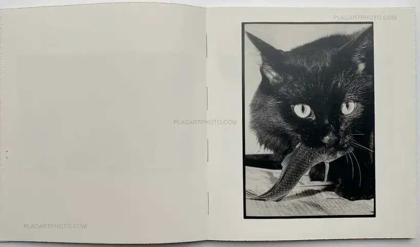 Masahisa Fukase – Wonderful Days