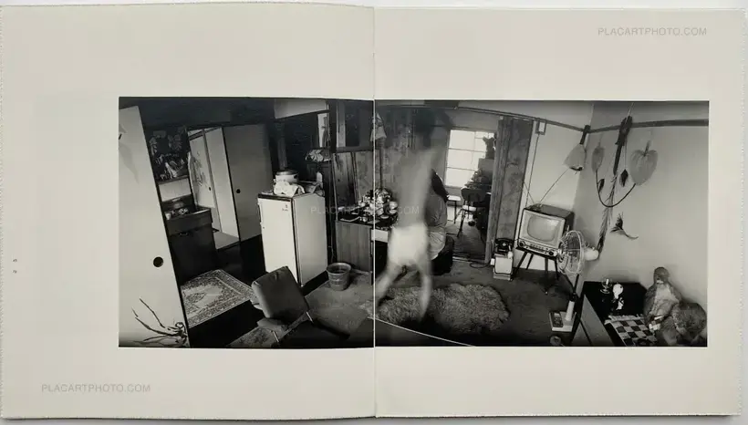 Masahisa Fukase – Wonderful Days
