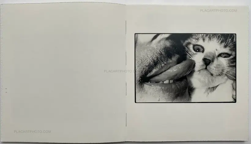 Masahisa Fukase – Wonderful Days