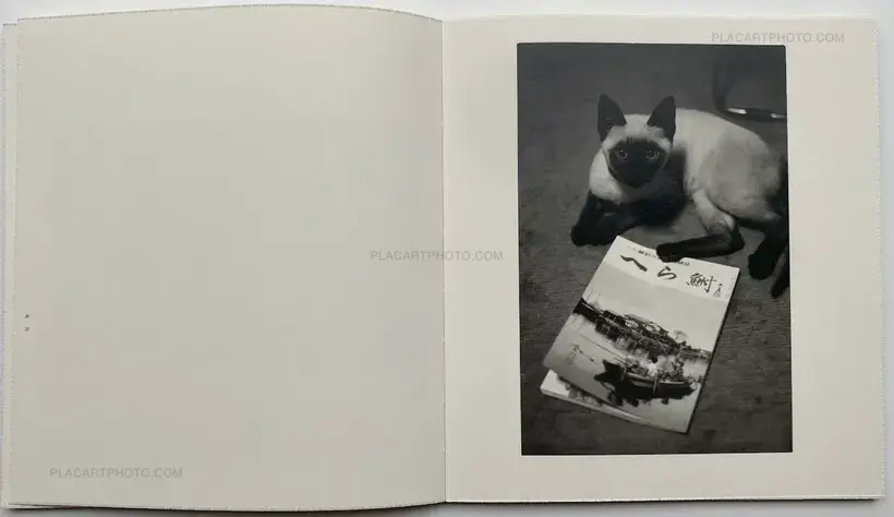 Masahisa Fukase – Wonderful Days