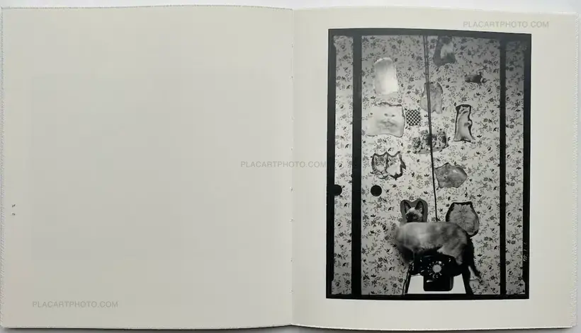 Masahisa Fukase – Wonderful Days