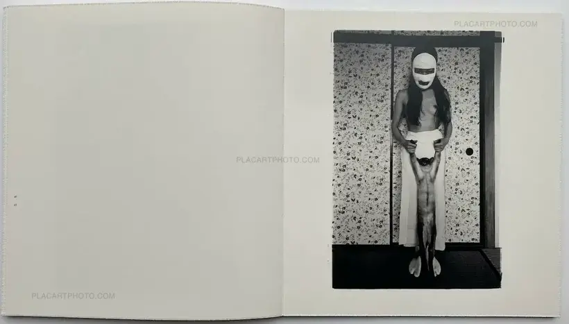 Masahisa Fukase – Wonderful Days