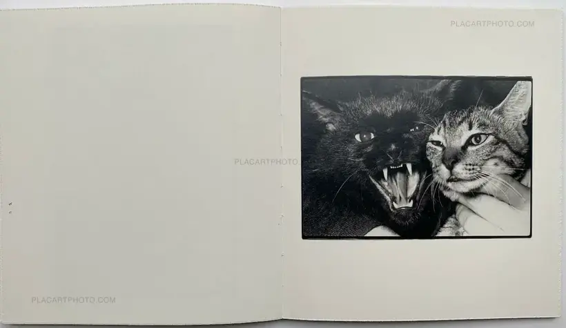 Masahisa Fukase – Wonderful Days