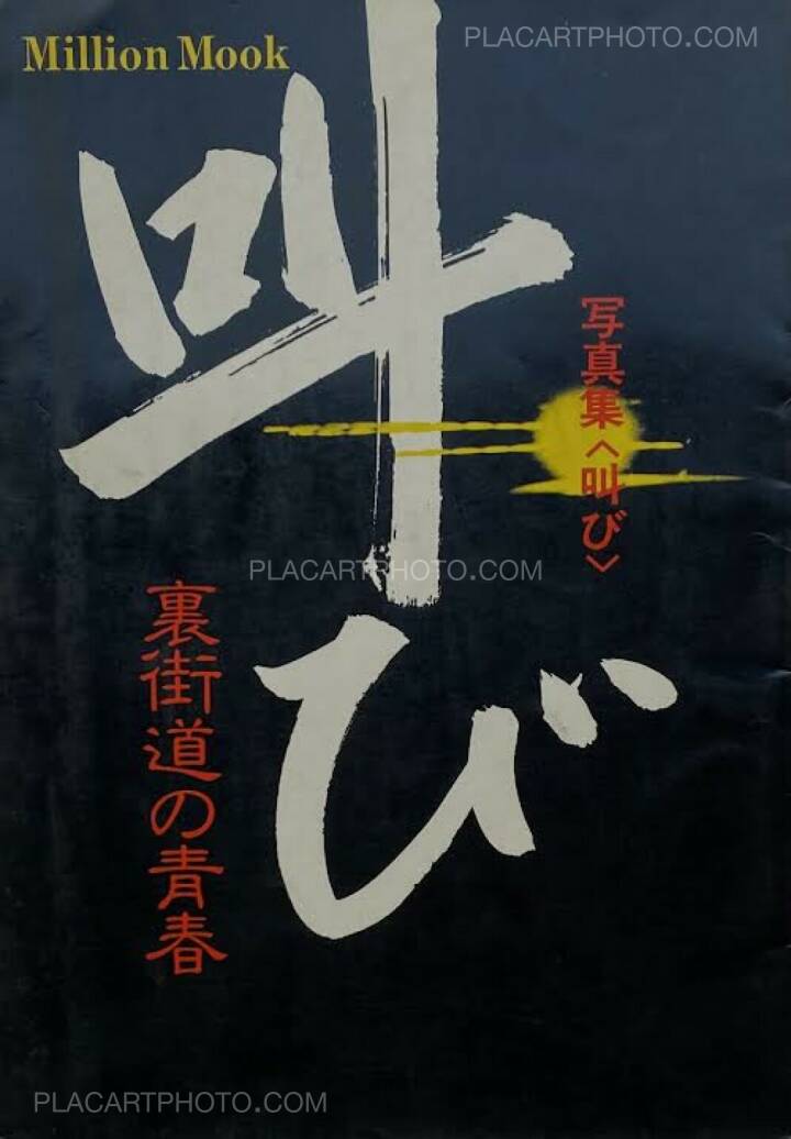 叫び 裏街道の青春 写真集 - ノンフィクション、教養