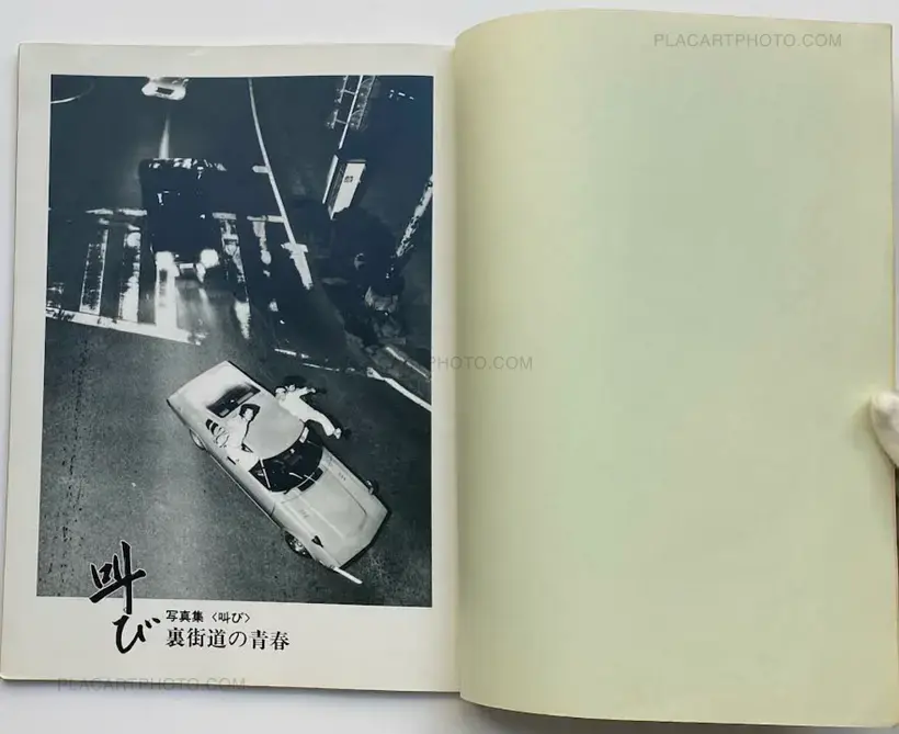 Various photographers – Sakebi: Urakaido no Seishun