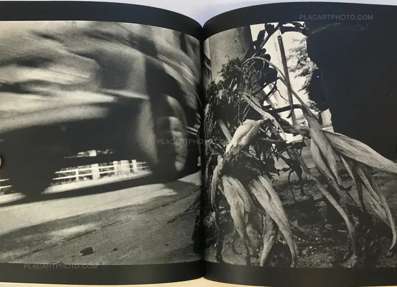 Tsuguhi Shinkawa – Shinkawa Tsuguhi Shashinshu