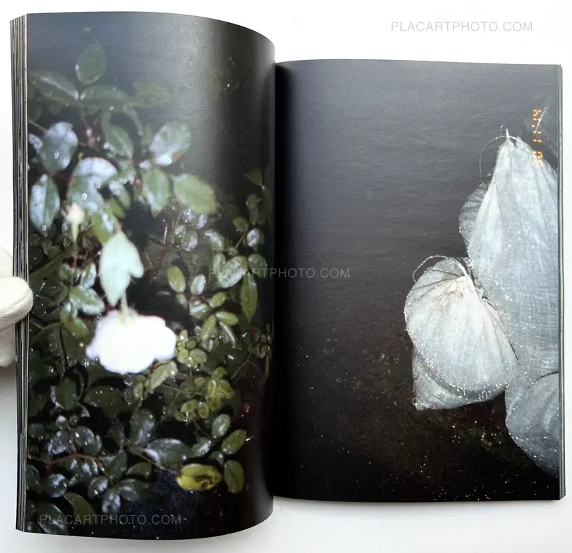 Daisuke Yokota – Untitled (Signed)